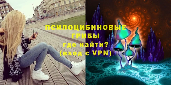 PSILOCYBIN Лихославль