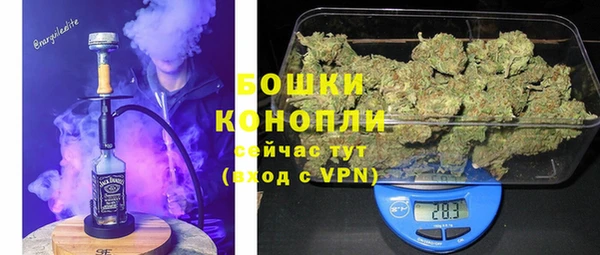 PSILOCYBIN Лихославль