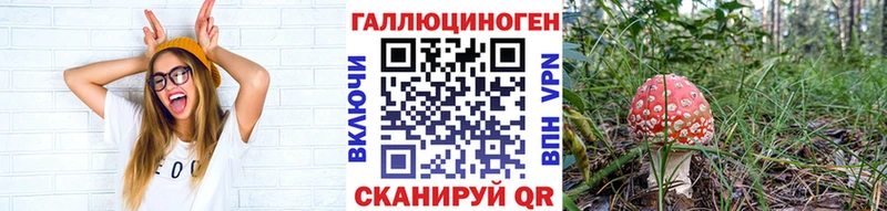 Псилоцибиновые грибы GOLDEN TEACHER Зеленодольск